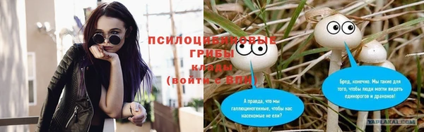 молекула духа Остров