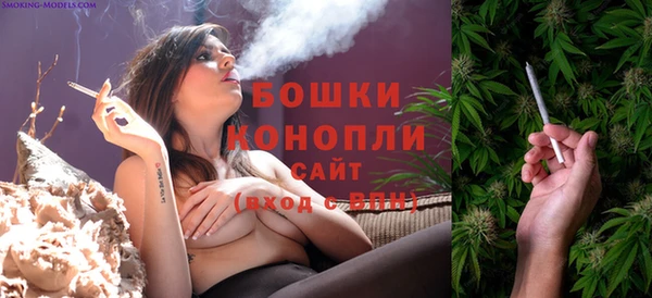 молекула духа Остров