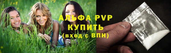 молекула духа Горно-Алтайск