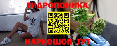 ешки Дубна