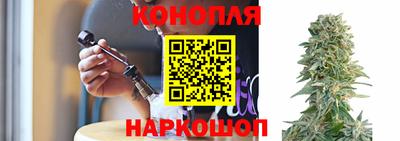 гидра Донецк