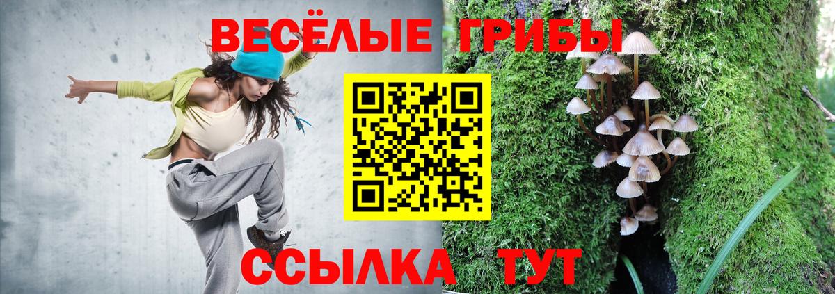 Псилоцибиновые грибы Cubensis Корсаков