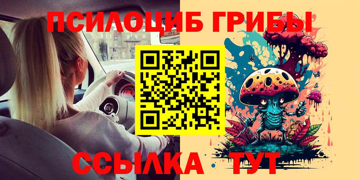 Галлюциногенные грибы MAGIC MUSHROOMS  Вход с VPN  Корсаков  Псилоцибиновые грибы прущие грибы 